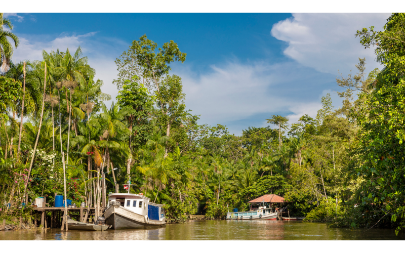 Belém: onde a floresta encontra a fé, o sabor invade a alma e o calor vem de todos os lados